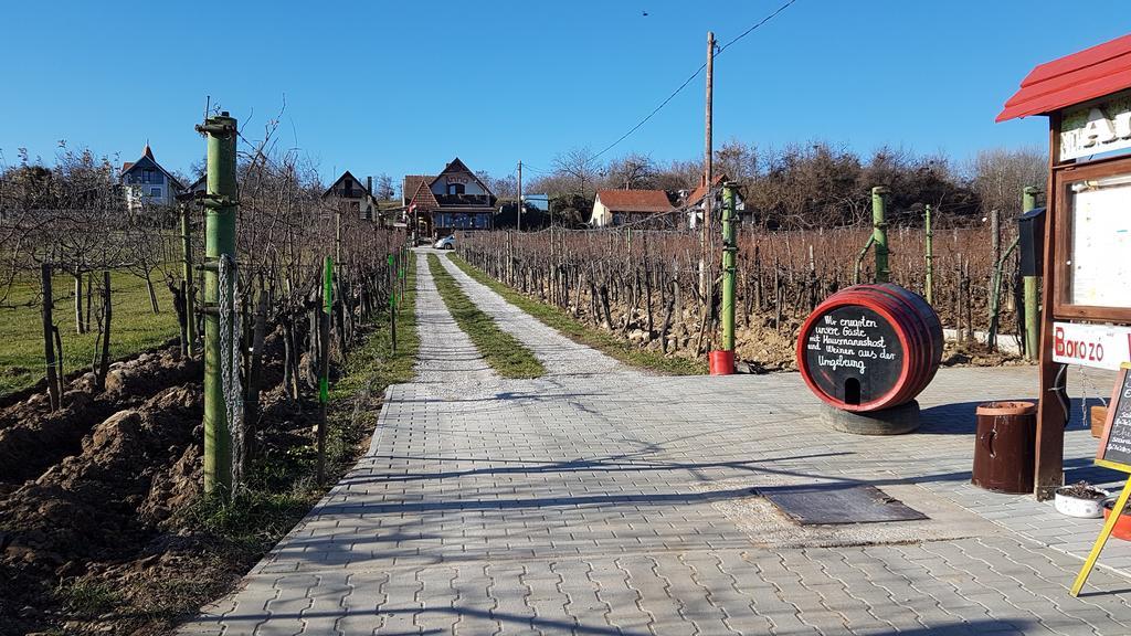 Villa Nora Heviz Bagian luar foto