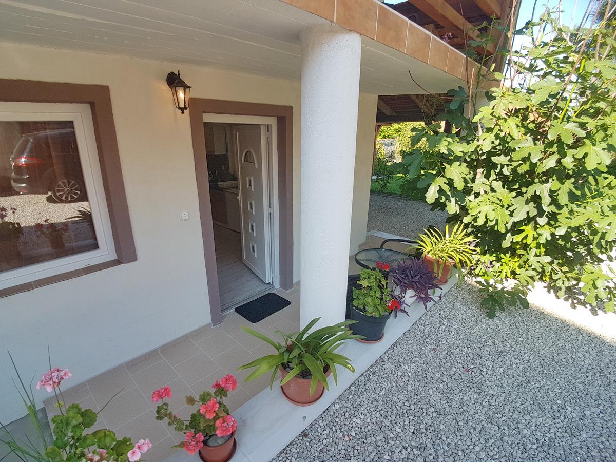 Villa Nora Heviz Bagian luar foto